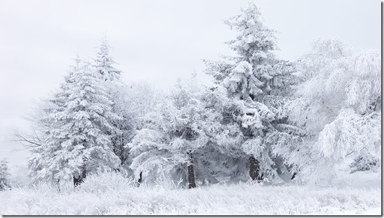 It COULD Happen Here!